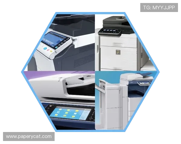 凯时手机app最新安全措施,保障用户信息安全和资金安全