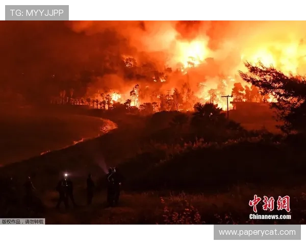 尊龙会官网会员登录入口网址官方入口网址查询及登录指南 尊龙会官网会员登录入口网址官方入口网址查询及登录指南