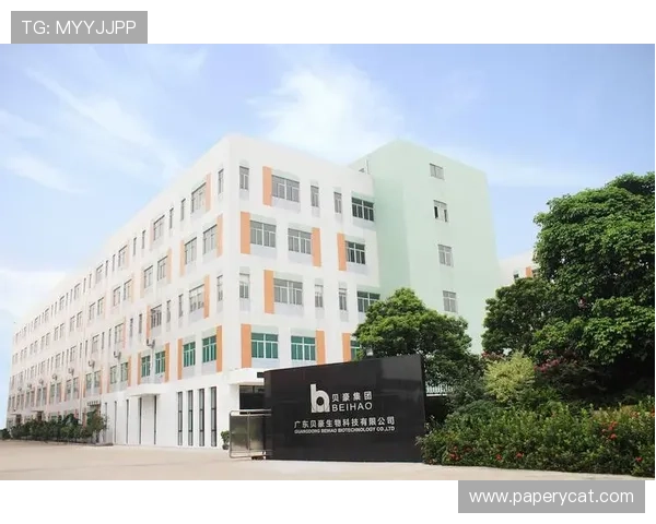 尊龙集团如何通过创新推动业务增长与品牌价值提升