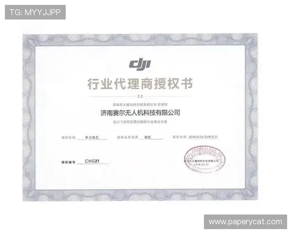 凯时尊龙总代理合作流程详解以及代理商常见问题解决方案