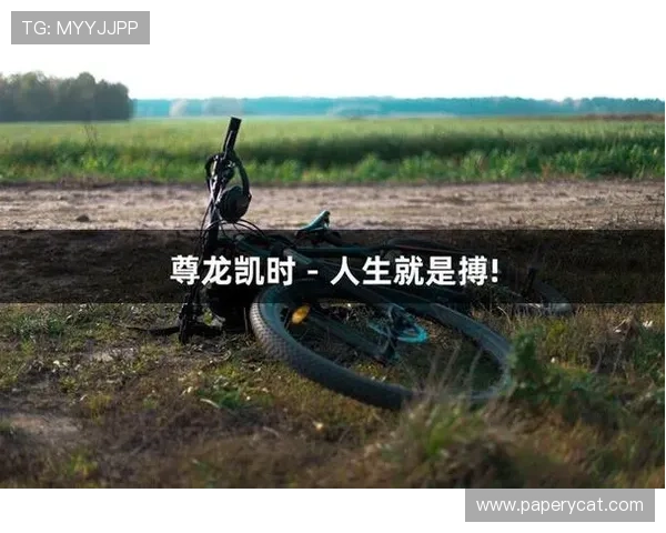 尊龙凯时人生就是搏官网：揭秘游戏背后的设计理念与玩家体验优化策略