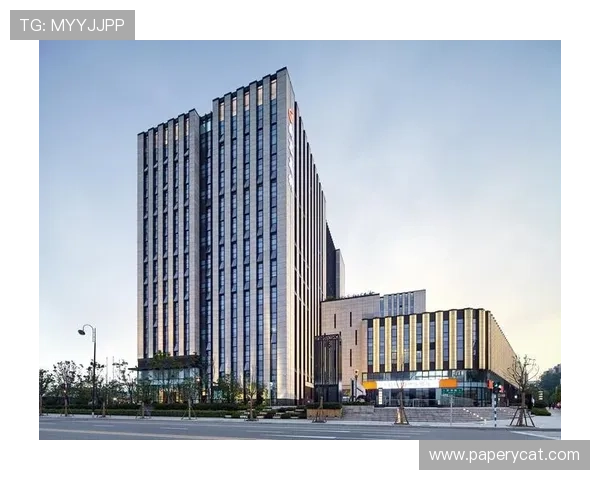 凯时尊龙官网app最新版本更新内容，体验新功能与优化提升带来的全新感受